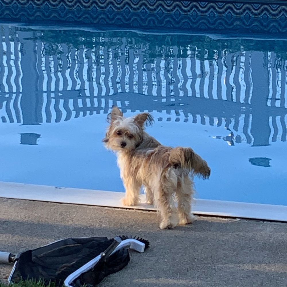 Meet your Posher, Ellie